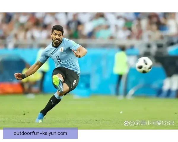 美洲杯最新冠军表现稳健，展现出强大的竞争力与团队协作。